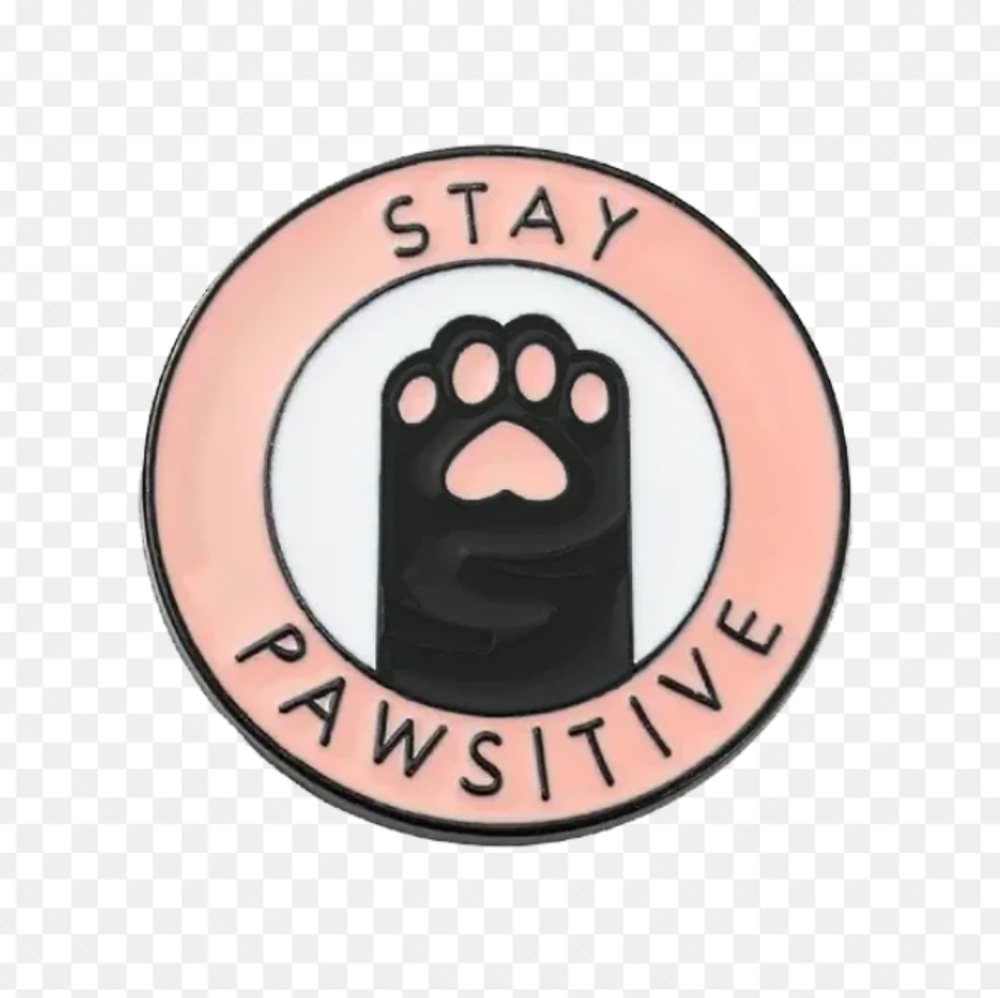 2/$10 Stay Pawsitive Cat Enamel Pin